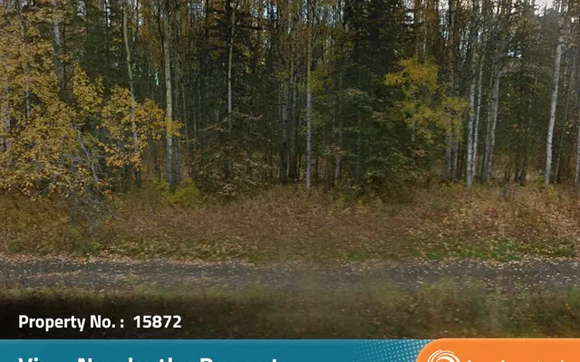 LandCentral listing preview for 5 acres in Matanuska-Susitna, AK — 15872