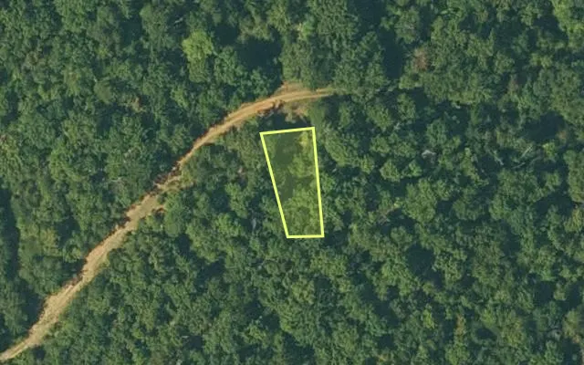 Aerial view of FULTON County parcel 110-10648-000 — Arkansas post-auction with approximate parcel outline