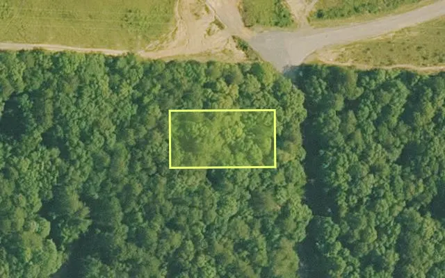 Aerial view of VAN BUREN County parcel 4400-20218-0000 — Arkansas post-auction with approximate parcel outline