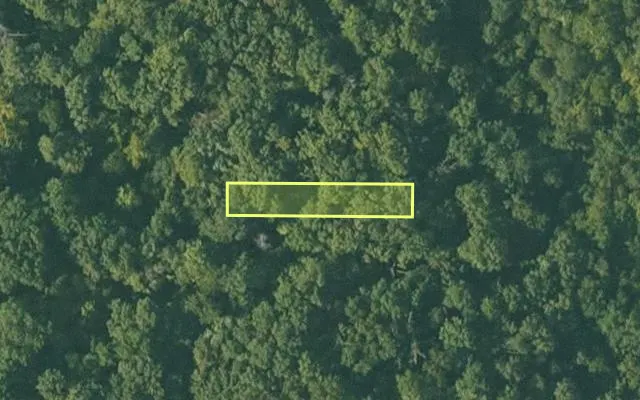 Aerial view of SHARP County parcel 344-00167-000 — Arkansas post-auction with approximate parcel outline