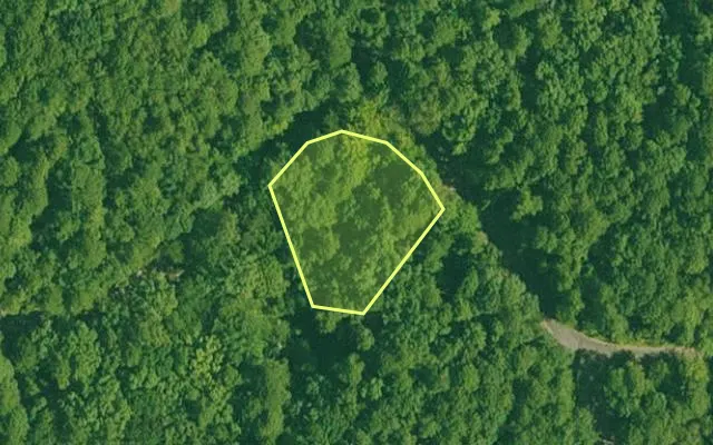 Aerial view of GARLAND County parcel 65917 — Arkansas post-auction with approximate parcel outline