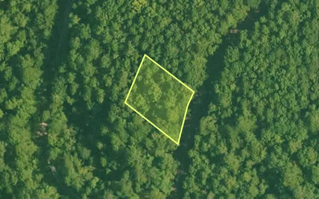 Aerial view of SALINE County parcel 496-00213-000 — Arkansas post-auction with approximate parcel outline