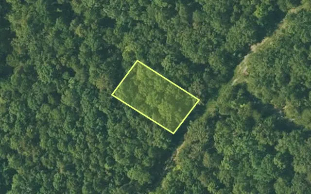 Aerial view of FULTON County parcel 255-15897-000 — Arkansas post-auction with approximate parcel outline