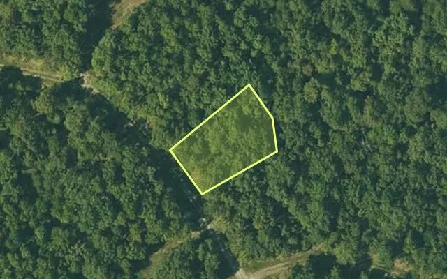 Aerial view of FULTON County parcel 175-12981-000 — Arkansas post-auction with approximate parcel outline