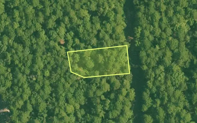 Aerial view of SALINE County parcel 692-00042-000 — Arkansas post-auction with approximate parcel outline