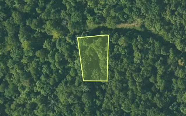 Aerial view of FULTON County parcel 305-17795-000 — Arkansas post-auction with approximate parcel outline