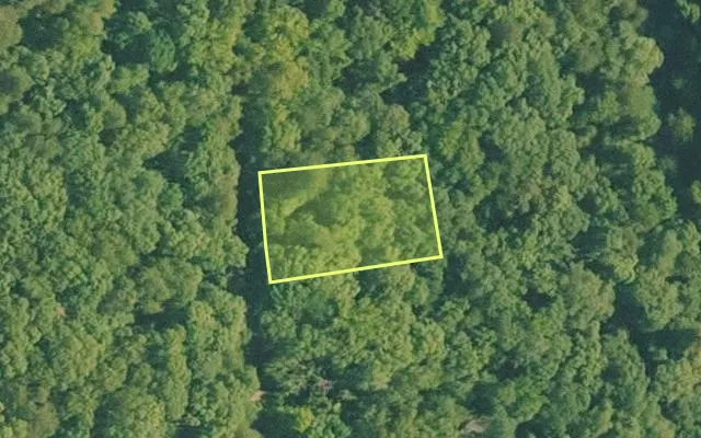 Aerial view of VAN BUREN County parcel 4050-09018-0000 — Arkansas post-auction with approximate parcel outline