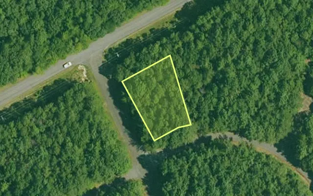 Aerial view of GARLAND County parcel 65302 — Arkansas post-auction with approximate parcel outline