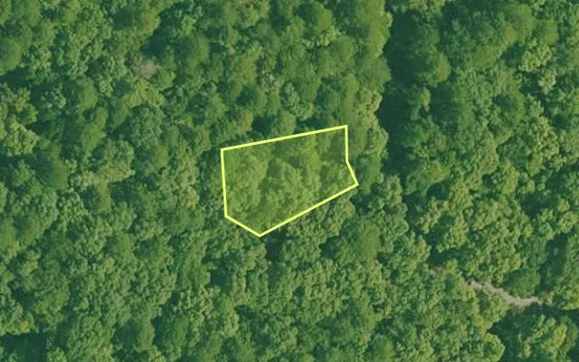 Aerial view of GARLAND County parcel 74812 — Arkansas post-auction with approximate parcel outline