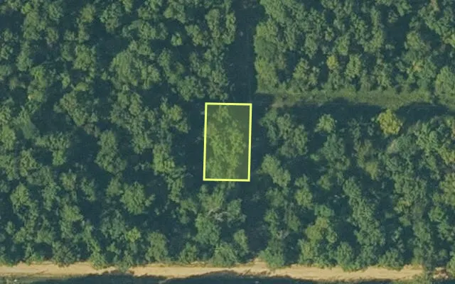 Aerial view of FULTON County parcel 687-25575-001 — Arkansas post-auction with approximate parcel outline