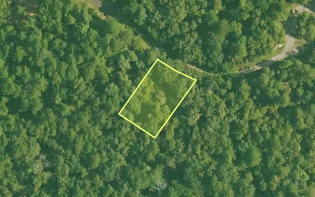 Aerial view of SALINE County parcel 604-00050-000 — Arkansas post-auction with approximate parcel outline