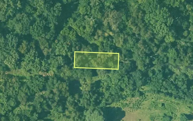 Aerial view of LAFAYETTE County parcel 702-01393-0000 — Arkansas post-auction with approximate parcel outline