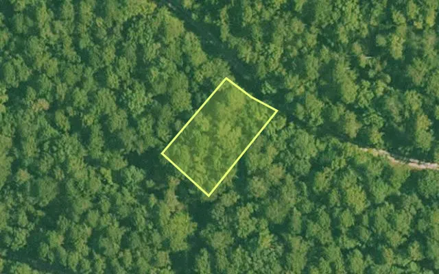 Aerial view of SALINE County parcel 496-00010-000 — Arkansas post-auction with approximate parcel outline