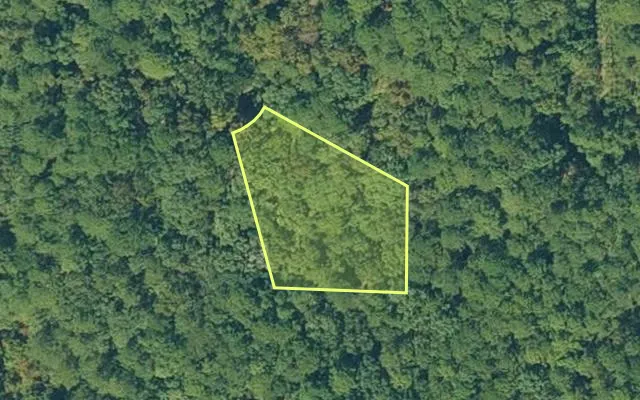 Aerial view of VAN BUREN County parcel 4300-18056-0000 — Arkansas post-auction with approximate parcel outline