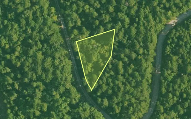 Aerial view of SALINE County parcel 500-00009-000 — Arkansas post-auction with approximate parcel outline