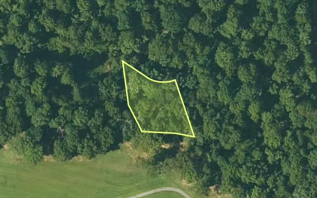 Aerial view of FULTON County parcel 350-19564-000 — Arkansas post-auction with approximate parcel outline