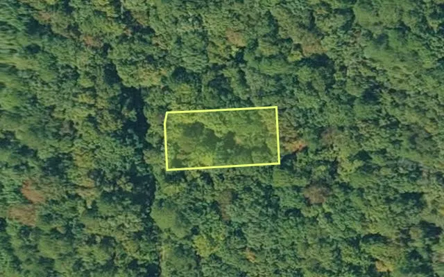 Aerial view of VAN BUREN County parcel 4300-03038-0000 — Arkansas post-auction with approximate parcel outline