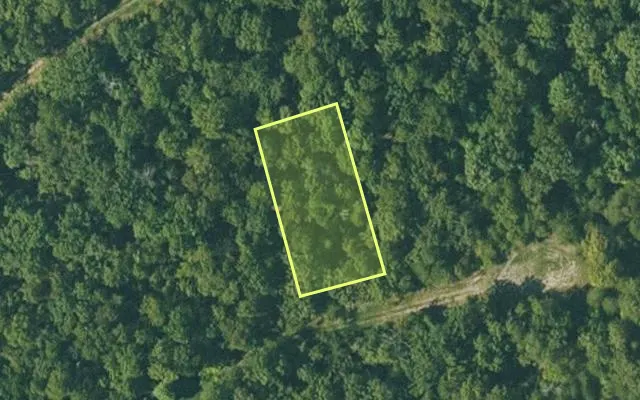 Aerial view of FULTON County parcel 290-17142-000 — Arkansas post-auction with approximate parcel outline