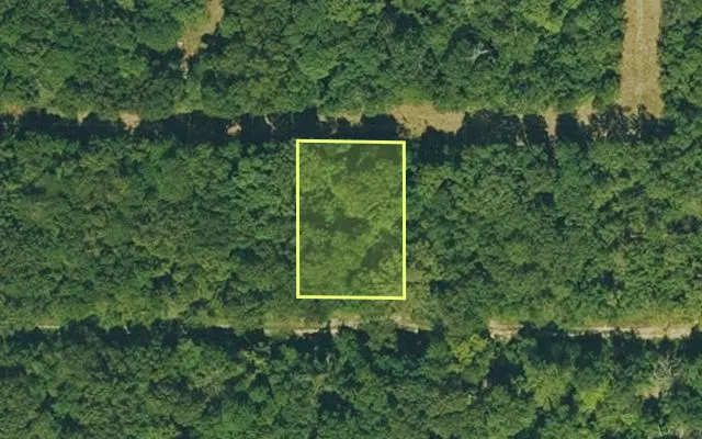 Aerial view of IZARD County parcel 800-11465-000 — Arkansas post-auction with approximate parcel outline