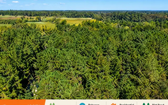 LandCentral listing preview for 0.46 acres in Robeson, NC — 16074