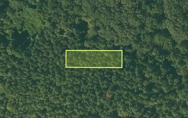 Aerial view of CHICOT County parcel 050-03853-000 — Arkansas post-auction with approximate parcel outline