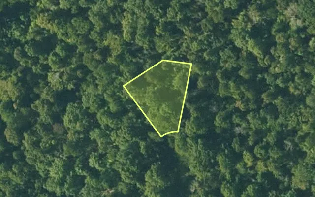 Aerial view of FULTON County parcel 125-11121-000 — Arkansas post-auction with approximate parcel outline