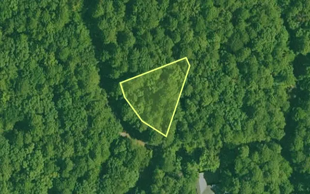 Aerial view of GARLAND County parcel 65948 — Arkansas post-auction with approximate parcel outline