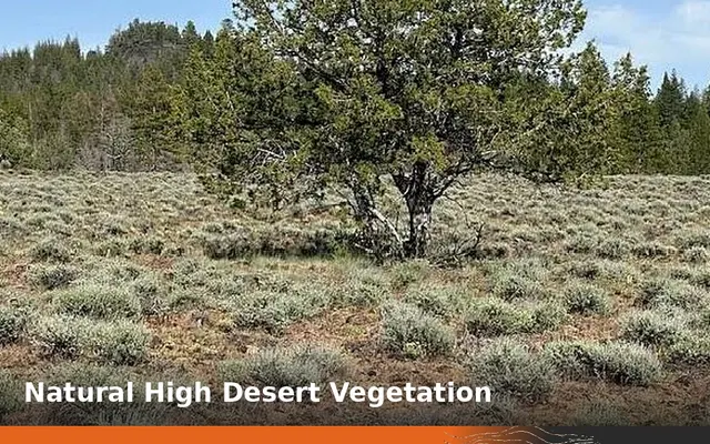 LandCentral listing preview for 1.48 acres in Klamath, OR — 15854