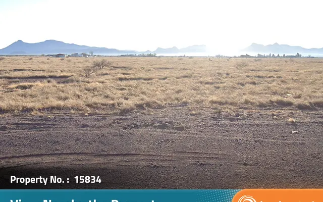 LandCentral listing preview for 0.32 acres in Cochise, AZ — 15834
