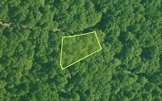 Aerial view of SALINE County parcel 564-00053-000 — Arkansas post-auction with approximate parcel outline