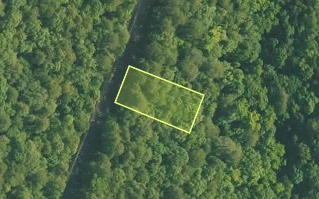 Aerial view of VAN BUREN County parcel 4050-10047-0000 — Arkansas post-auction with approximate parcel outline