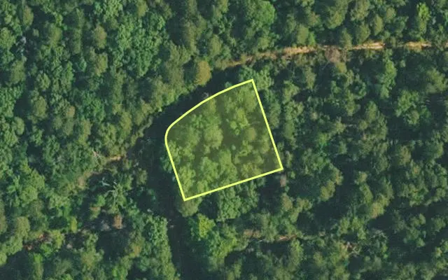 Aerial view of VAN BUREN County parcel 4200-02322-0000 — Arkansas post-auction with approximate parcel outline
