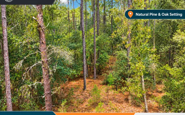 LandCentral listing preview for 0.17 acres in Putnam, FL — 15643