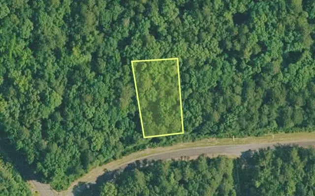 Aerial view of VAN BUREN County parcel 4350-10021-0000 — Arkansas post-auction with approximate parcel outline