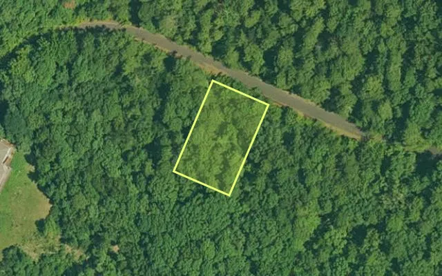 Aerial view of GARLAND County parcel 63982 — Arkansas post-auction with approximate parcel outline