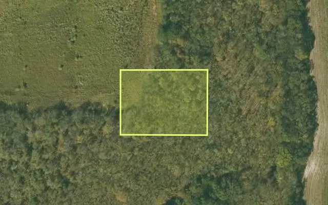 Aerial view of CHICOT County parcel 050-02368-000 — Arkansas post-auction with approximate parcel outline