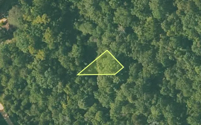 Aerial view of SHARP County parcel 352-00048-000 — Arkansas post-auction with approximate parcel outline
