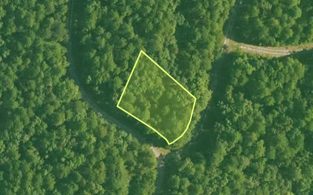 Aerial view of SALINE County parcel 748-00100-000 — Arkansas post-auction with approximate parcel outline