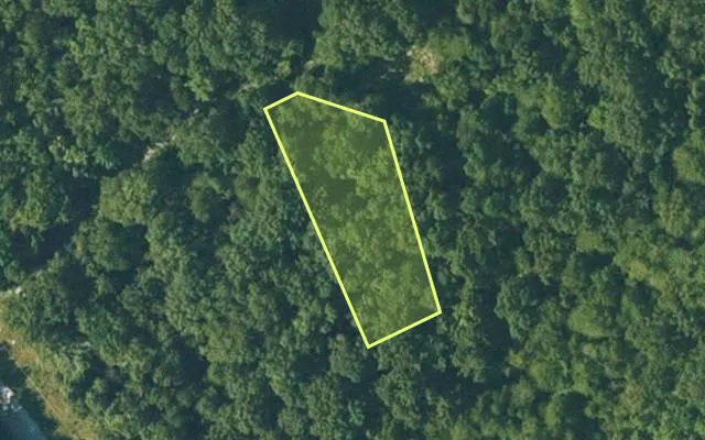 Aerial view of FULTON County parcel 215-14210-000 — Arkansas post-auction with approximate parcel outline