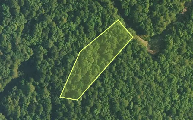 Aerial view of VAN BUREN County parcel 4400-15010-0000 — Arkansas post-auction with approximate parcel outline