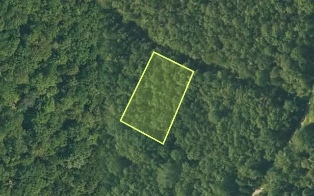 Aerial view of FULTON County parcel 245-15439-000 — Arkansas post-auction with approximate parcel outline