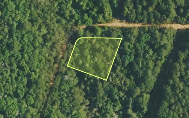 Aerial view of VAN BUREN County parcel 4500-02551-0000 — Arkansas post-auction with approximate parcel outline
