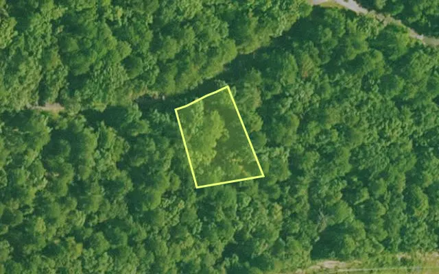 Aerial view of SALINE County parcel 564-00115-000 — Arkansas post-auction with approximate parcel outline