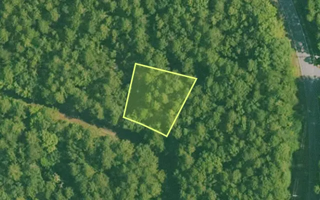 Aerial view of SALINE County parcel 496-00102-000 — Arkansas post-auction with approximate parcel outline