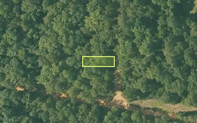Aerial view of SHARP County parcel 392-00111-000 — Arkansas post-auction with approximate parcel outline