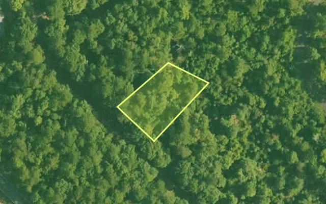 Aerial view of SALINE County parcel 424-00098-000 — Arkansas post-auction with approximate parcel outline