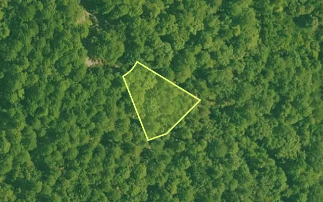 Aerial view of GARLAND County parcel 72077 — Arkansas post-auction with approximate parcel outline