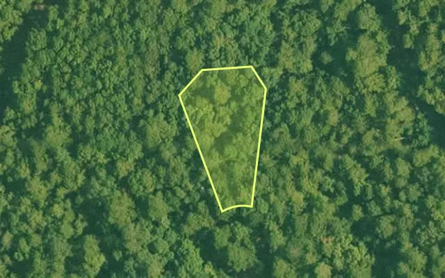 Aerial view of SALINE County parcel 496-00173-000 — Arkansas post-auction with approximate parcel outline