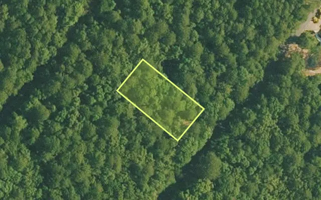 Aerial view of VAN BUREN County parcel 4400-10217-0000 — Arkansas post-auction with approximate parcel outline
