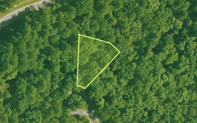 Aerial view of SALINE County parcel 564-00162-000 — Arkansas post-auction with approximate parcel outline